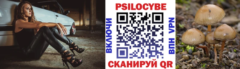 Купить закладки  Городовиковск  Галлюциногенные грибы мицелий 