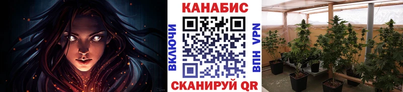 Конопля THC 21% Городовиковск